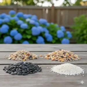 A variety of popular bird seed mixes suitable for use in a cage bird feeder, such as black oil sunflower seed.