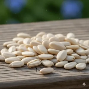 A macro view showing the smooth, white shells of high-quality safflower seeds for birds.