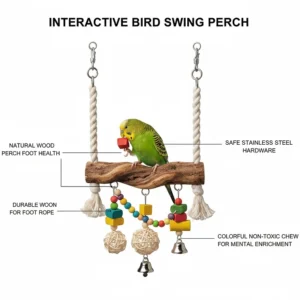 Illustration of an interactive bird swing perch featuring attached colorful chew toys and bells.