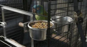 Close up view of stainless steel food and water cups inside a collapsible bird travel cage