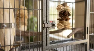 Close-up shot of an escape-proof safety latch on a commercial breeding cage for cockatiels